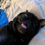 Anders Peterson - @anders.peterson07 - Instagram
