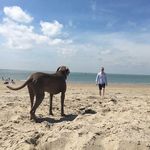 Anders Rasmussen - @anders.rasmussen.bruxelles - Instagram