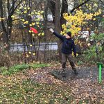 Anders Samuelsson - @fenixdaphne - Instagram
