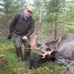 Anders Samuelsson - @anders.samuelsson.56 - Instagram
