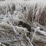 Anders Vikström - @vikstrom_anders - Instagram