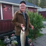 Anders Vikström - @anders.vikstrom - Instagram