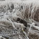 Anders Vikström - @anders.vikstrom47 - Instagram