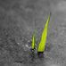 Andersen Chen - Facebook