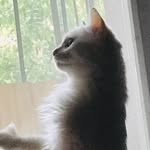 猫拌糖 - @anderson__cox - Instagram