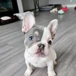 Anderson Cox - @andersoncox11 - Instagram