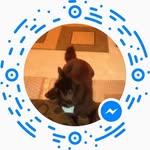 Anderson Evans - @anderson.evans.819 - Instagram