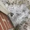 Anderson Hall - @anderson.hall - TikTok