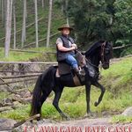 Anderson Pagel - @andersonpagel07 - Instagram