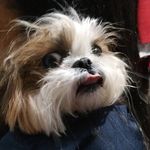 Anderson Pagels - @anderson_pagels - Instagram