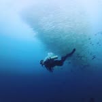 Anderson Wong - @iamcmwanderson - Instagram
