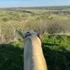 Andi Armstrong🐎💝 - @totally.not.andi31 - TikTok