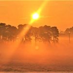 Andrew Bennett - @andi_bennettk9 - Instagram