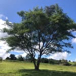 António Jamba Bastos - @andreanthonybasto - Instagram
