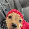 Andrew Calhoun - @andrew.calhoun1 - TikTok