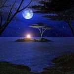 André Cloutier - @andre.cloutier.712 - Instagram