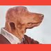 André Collette - Facebook