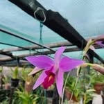 André Cronje - @andre.cronje99 - Instagram