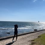 André Cummings - @andre_cummings - Instagram