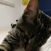 Andrew Cummings - @andrew.cummings23 - TikTok