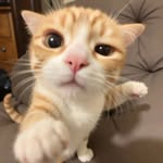 Juan Darius - @andredariusjuan - Instagram
