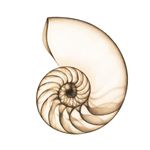 Dr. Andrew B. Denton Inc. - @dr.andrewdenton - Instagram