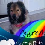 André Desjardins - @andre.desjardins.904 - Instagram
