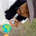 Andre Duncan - Facebook