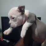 andre Durham - @durham.andre - Instagram