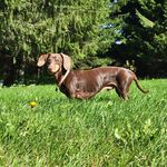 Andre Ferland - @ferly006 - Instagram