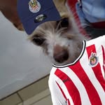 Andre Figueroa - @elandre17 - Instagram