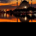 Andre Fletcher - @sekh_mohammad_tariq_husain - Instagram