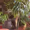 Andrew - @andrew_forrest_03 - TikTok