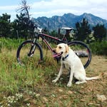 Andrew Frazier - @andrew.frazier33 - Instagram