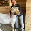 Andre Gamache - @andre.gamache1 - TikTok