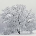 André Girard - @220andre - Instagram