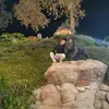 Andre Gomez - @andregomez067 - TikTok