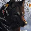 WolfMaster96 - @andrew.grayson4 - TikTok