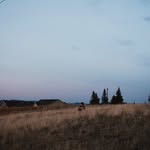 Andrew Griggs - @andrewgriggs1776 - Instagram