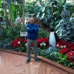 andre Grigorian - @andregrigorian61 - Instagram