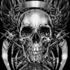 Andre - @andre.harley613 - TikTok