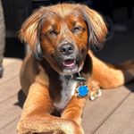 André Harrell - @aharrell - Instagram