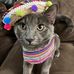 Andrew Holston - Facebook