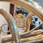 André Azevedo 📯 - @andre_hornplayer - Instagram