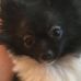 André Horn - Facebook