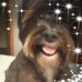 Andre Horn - Facebook