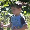 Andrew Hoss - @andrewhoss08 - TikTok