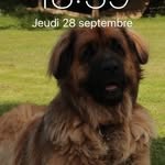 André Humbert - @a.humbert.flasch - Instagram