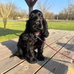 Andre Humbert - @dedehu57 - Instagram