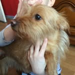 Andre Humbert - @andrehumbert57 - Instagram